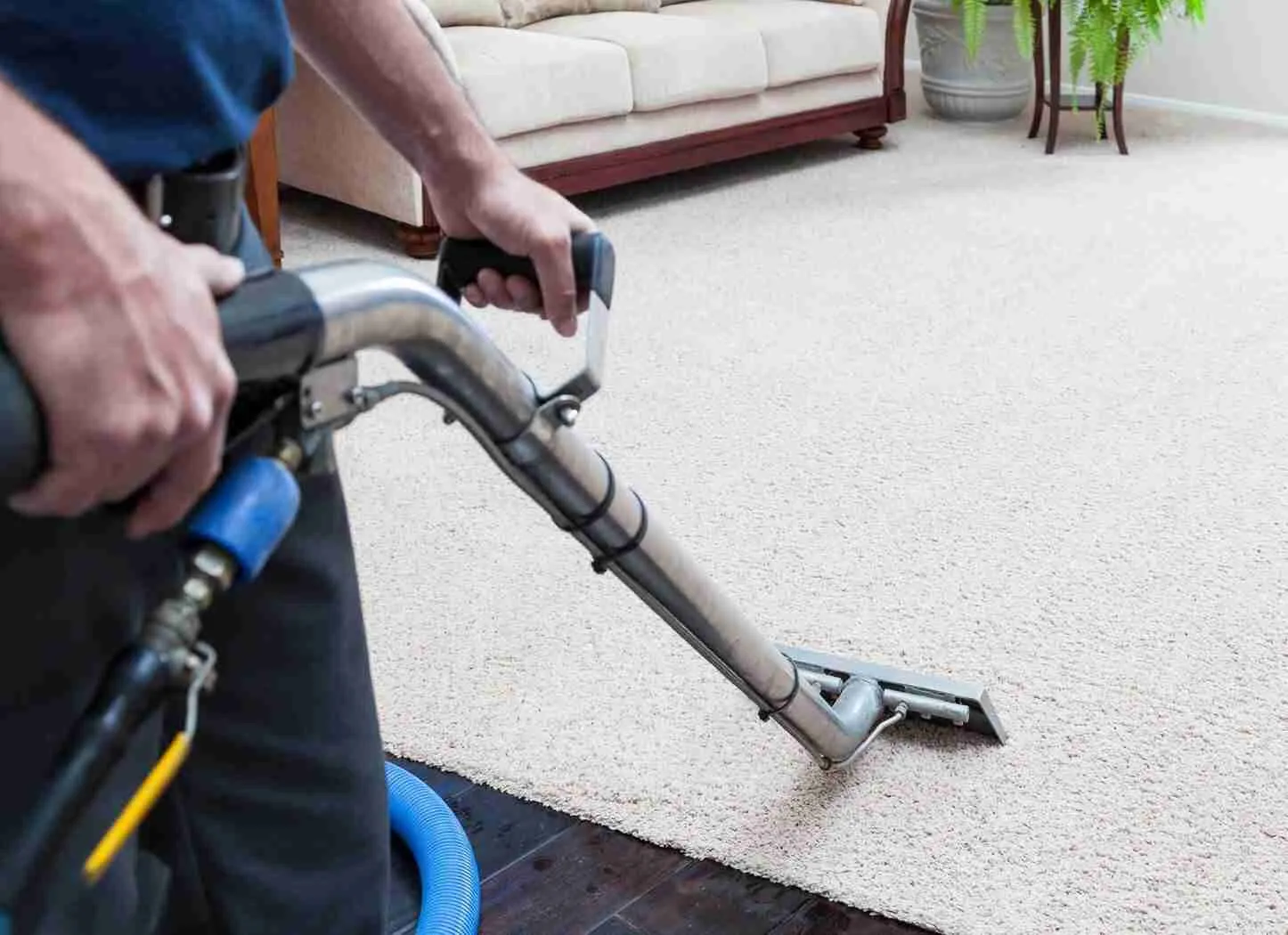 Carpet Steam Cleaning