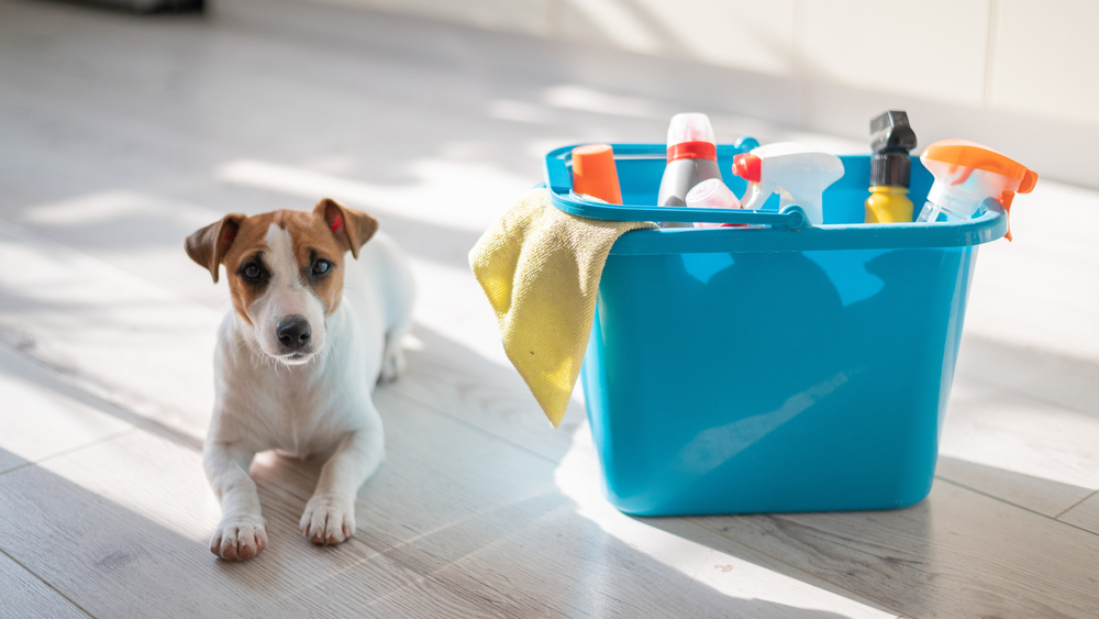 10 Powerful Pet-Friendly Cleaning Tips: Keep Your Home Spotless with Cats and Dogs