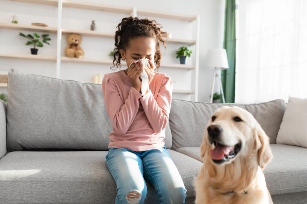 10 Proven Ways to Keep Your Family Room Pet Hair and Odor-Free: A Comprehensive Guide