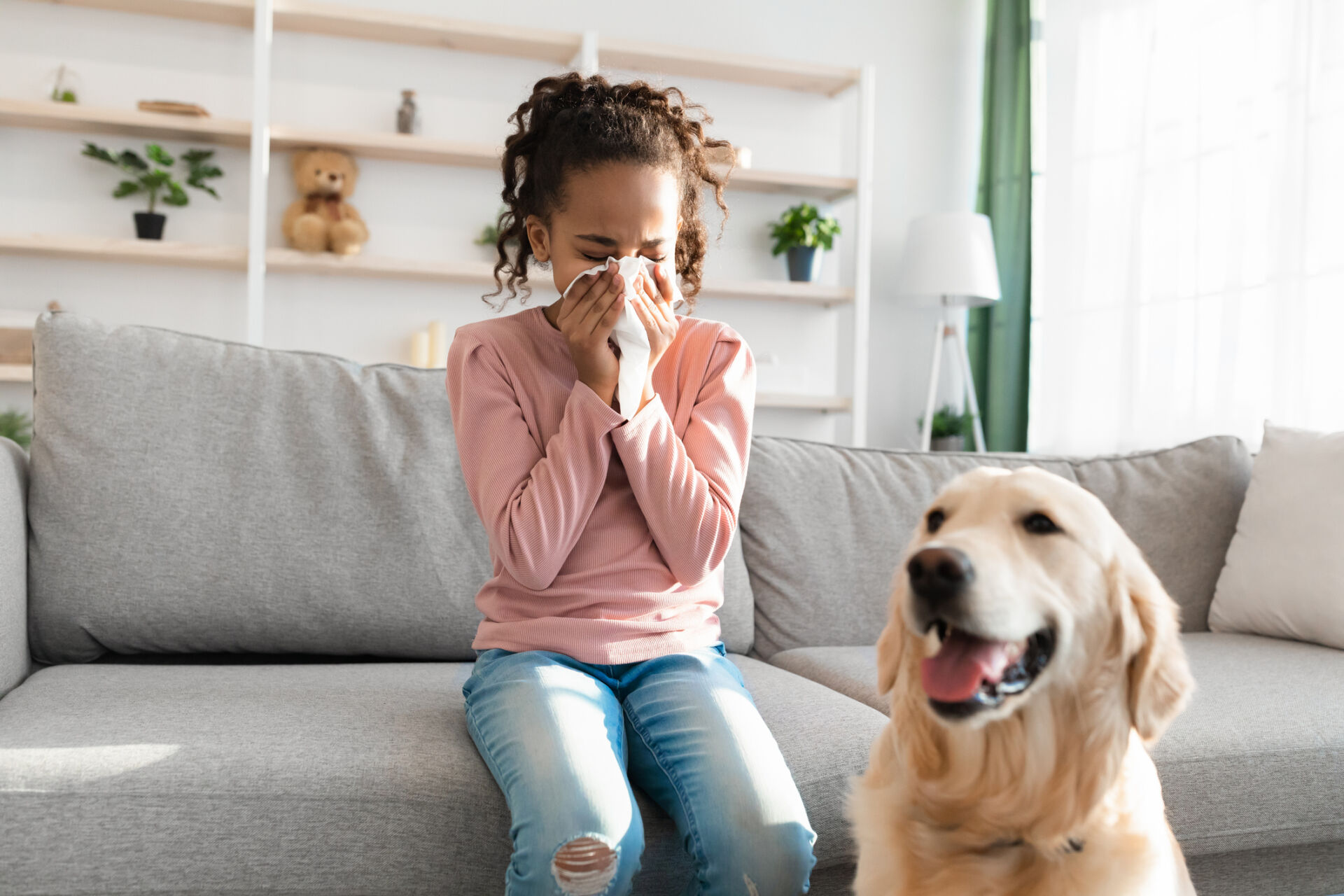 10 Proven Ways to Keep Your Family Room Pet Hair and Odor-Free: A Comprehensive Guide
