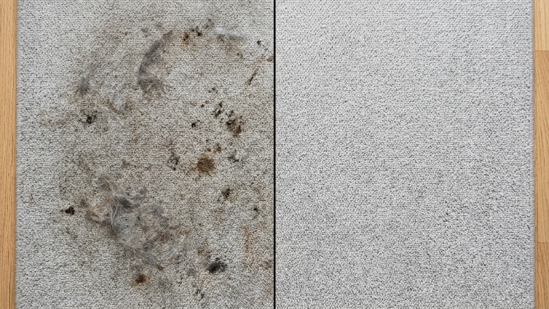 Steam Cleaning vs. Dry Cleaning Carpets: Which Is Better? 4 image 42